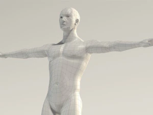 base mesh---man neutral t-pose 3D Model