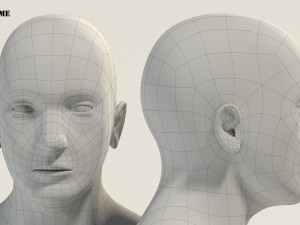 base mesh---man neutral pose 3D Model