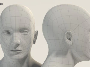base mesh---man t-pose 3D Model