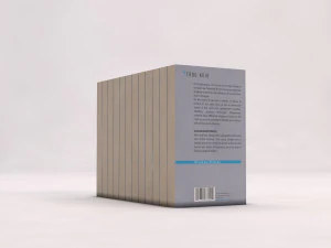 livro --- conjunto de bolso-01 Modelo 3D