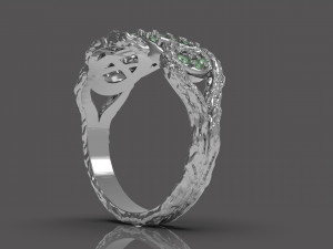 Infinity ring 3Dプリントモデル