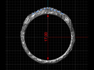 Infinity ring 3Dプリントモデル