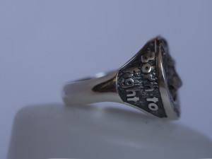 ring with a wolf Model Cetak 3D
