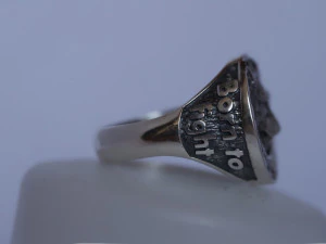 ring with a wolf 3D Print Model