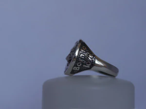 ring with a wolf 3D Print Model