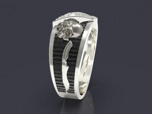 All-seeing eye massonic ring 3D 打印模型