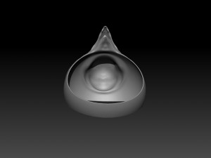 peregrine falcon ring Model 3D