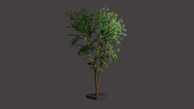 tree 3D-Modell .c4d .max .obj .3ds .fbx .stl .blend 