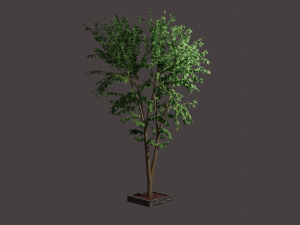tree 3D 모델