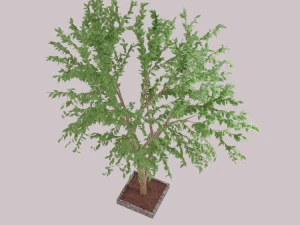 tree 3D Model