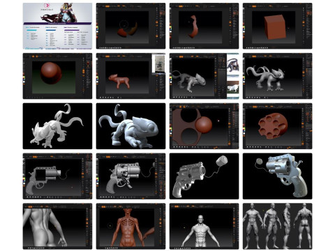 DOWNLOAD 70 Learn Zbrush Character Creation 16 Courses 516 Classes 516 Classes Surface Anatomy Modelo 3D