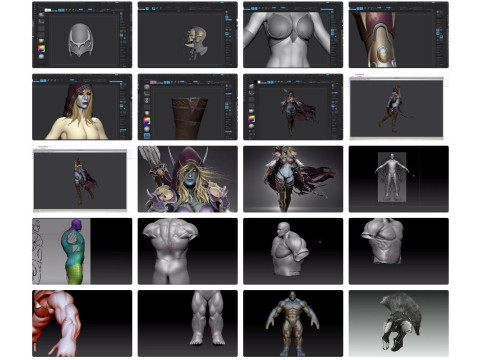 DOWNLOAD 70 Learn Zbrush Character Creation 16 Courses 516 Classes 516 Classes Surface Anatomy Modelo 3D