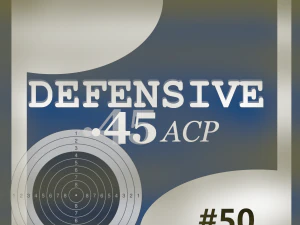 45 ammo and box 3D Model