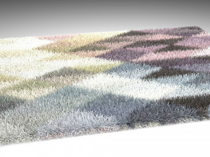 carpet Model 3D