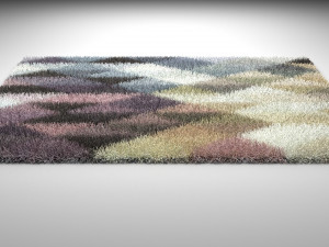 carpet Model 3D