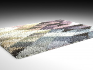 carpet Model 3D
