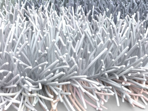 carpet Model 3D