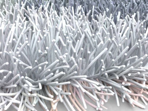 carpet 3D Model