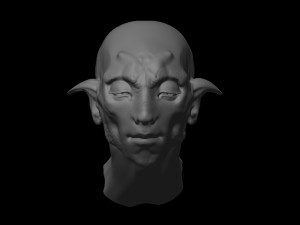 fantastic portrait 3Dモデル