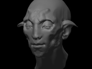 fantastic portrait 3Dモデル