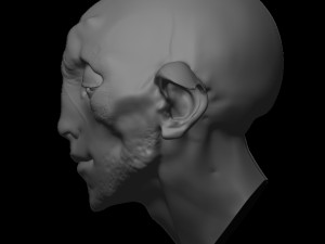 fantastic portrait 3Dモデル