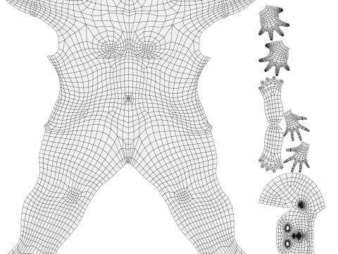Basic Body woman 3D Model