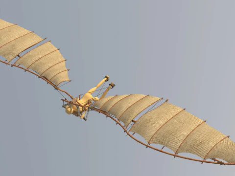 Leonardo da vinci flight 3D Model