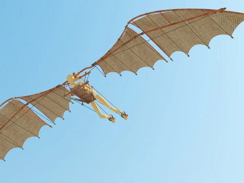 Leonardo da vinci flight 3D Model