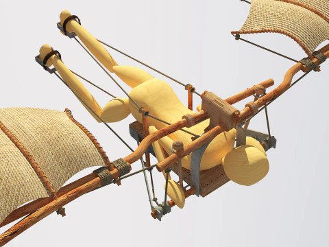 Leonardo da vinci flight 3D Model