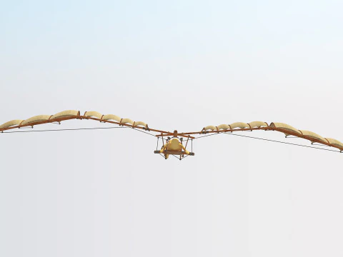 Leonardo da vinci flight 3D Model