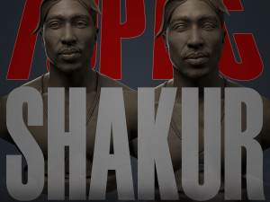tupac shakur 3D प्रिंट मॉडल
