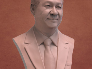 xi jinping Modelo de impresión 3D