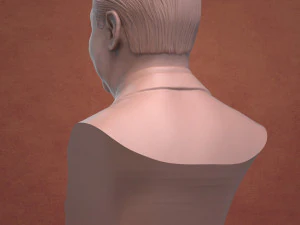 xi jinping 3D Print Model