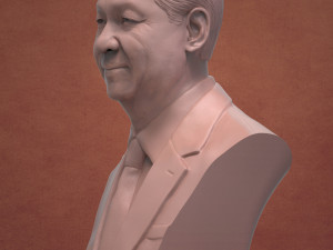 xi jinping Modelo de impresión 3D
