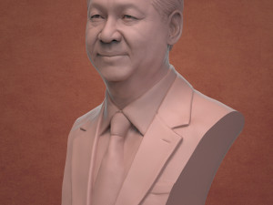 xi jinping Modelo de impresión 3D