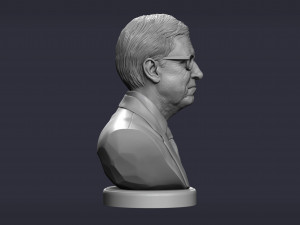 bill gates 3d print model 3D Print Model