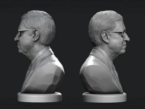 bill gates 3d print model 3D Print Model