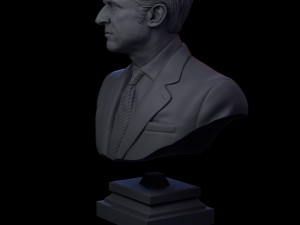 emmanuel macron 3d print model 3D 打印模型