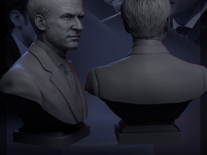 emmanuel macron 3d print model 3D 打印模型