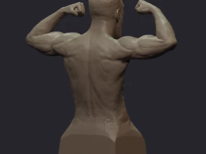 conor mcgregor 3D Print Model