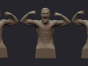 conor mcgregor 3D Принт Модель