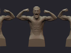 conor mcgregor 3D Print Model