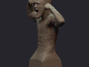 conor mcgregor 3D Print Model