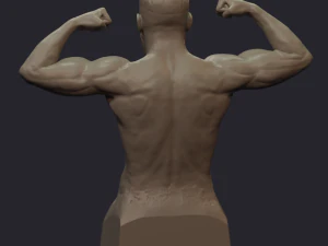 conor mcgregor 3D Print Model