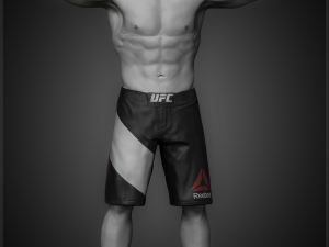 khabib nurmagomedov 3d print model 3Dプリントモデル