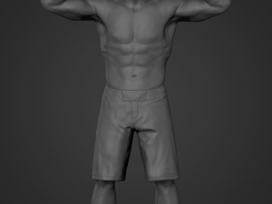khabib nurmagomedov 3d print model 3Dプリントモデル