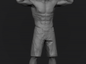 khabib nurmagomedov 3d print model 3Dプリントモデル