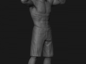 khabib nurmagomedov 3d print model 3Dプリントモデル
