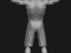 khabib nurmagomedov 3d print model 3Dプリントモデル
