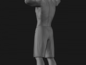 khabib nurmagomedov 3d print model 3Dプリントモデル